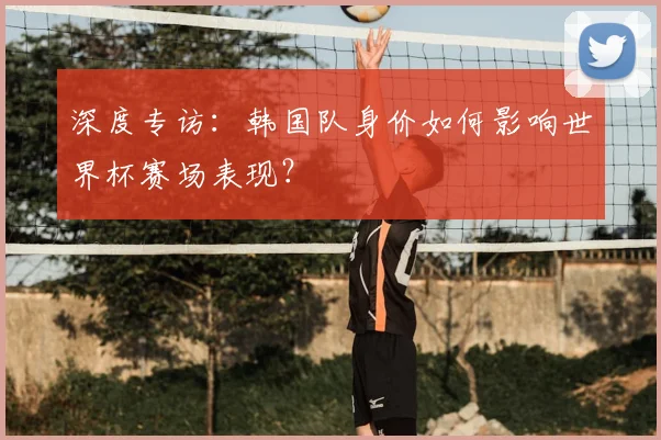 深度专访：韩国队身价如何影响世界杯赛场表现？