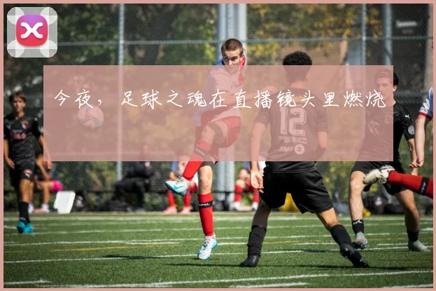 今夜，足球之魂在直播镜头里燃烧