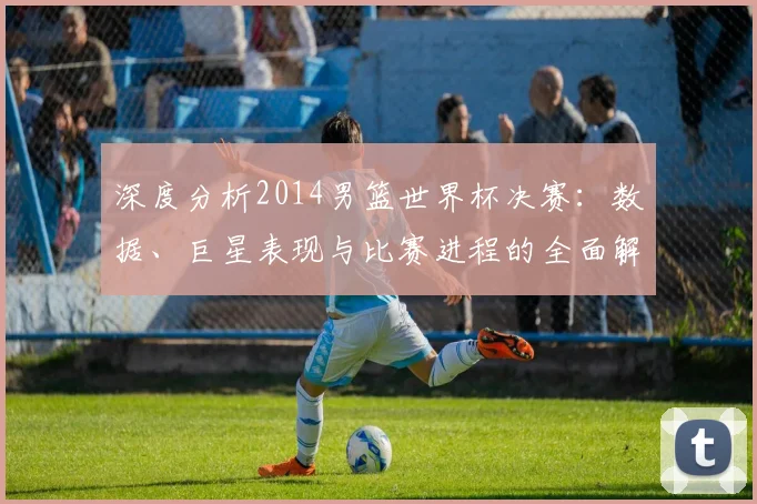 深度分析2014男篮世界杯决赛：数据、巨星表现与比赛进程的全面解读