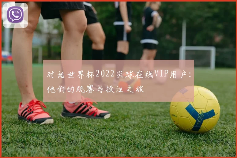 对话世界杯2022买球在线VIP用户：他们的观赛与投注之旅