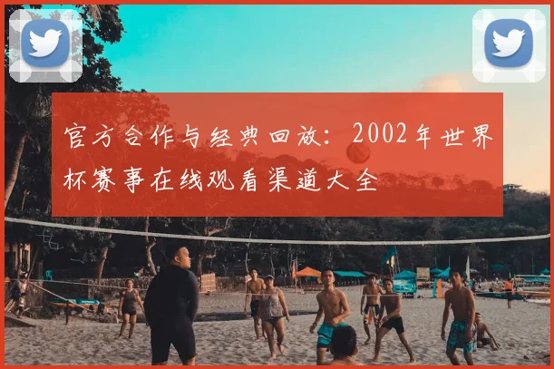 官方合作与经典回放：2002年世界杯赛事在线观看渠道大全