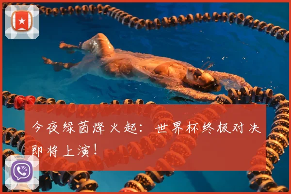今夜绿茵烽火起：世界杯终极对决即将上演！