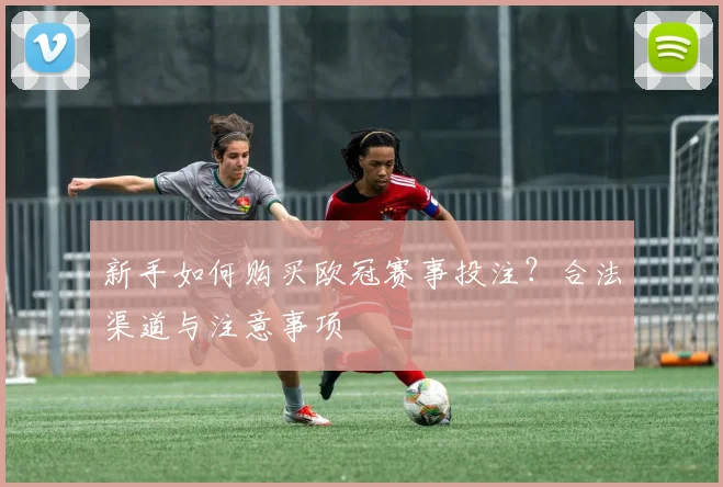 新手如何购买欧冠赛事投注？合法渠道与注意事项