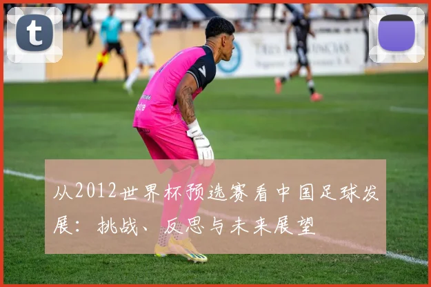 从2012世界杯预选赛看中国足球发展：挑战、反思与未来展望