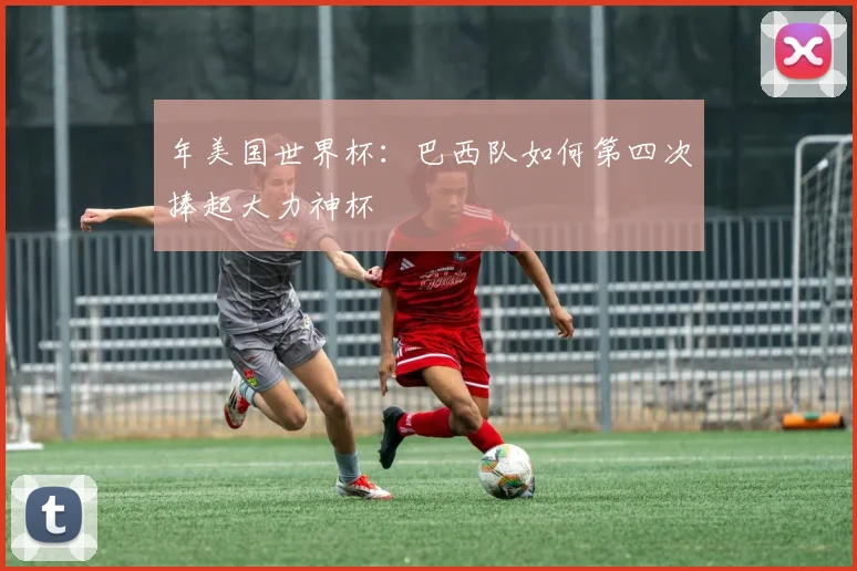 年美国世界杯：巴西队如何第四次捧起大力神杯